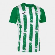 Joma 103164 GREEN-WHITE | Unisex