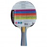 https://www.madeforsport.eu/upload/pala-enebe-meteor-600-760829_2.jpg